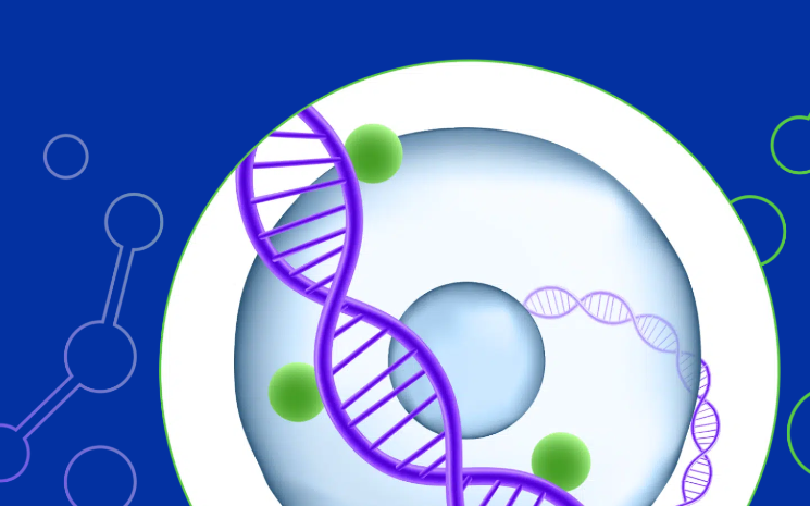 Metylacja DNA z rozdzielczością single cell