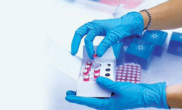 Odczynniki RT-PCR, PCR i QPCR